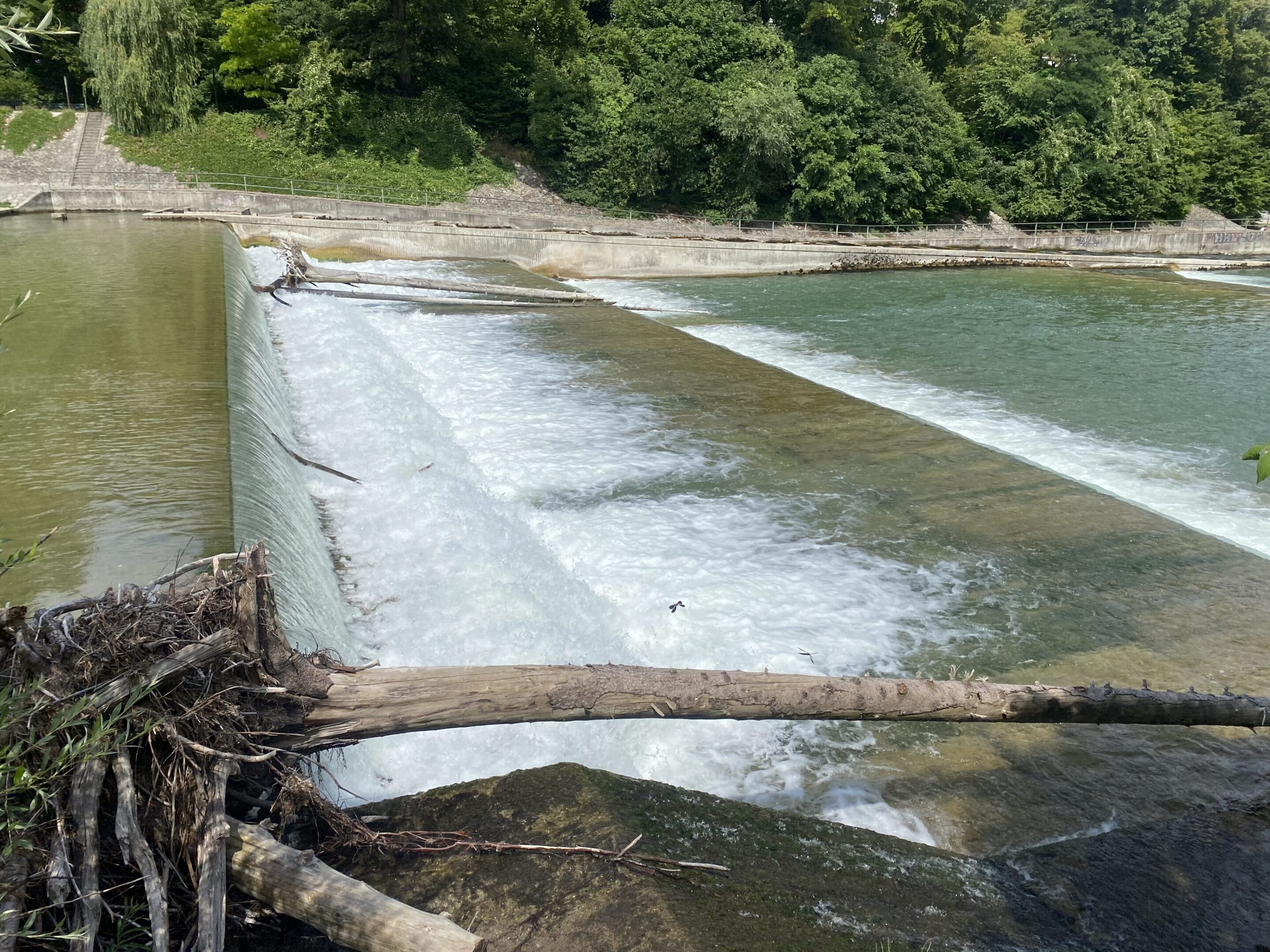 B636AACA-1958-474F-B507-97238143280C