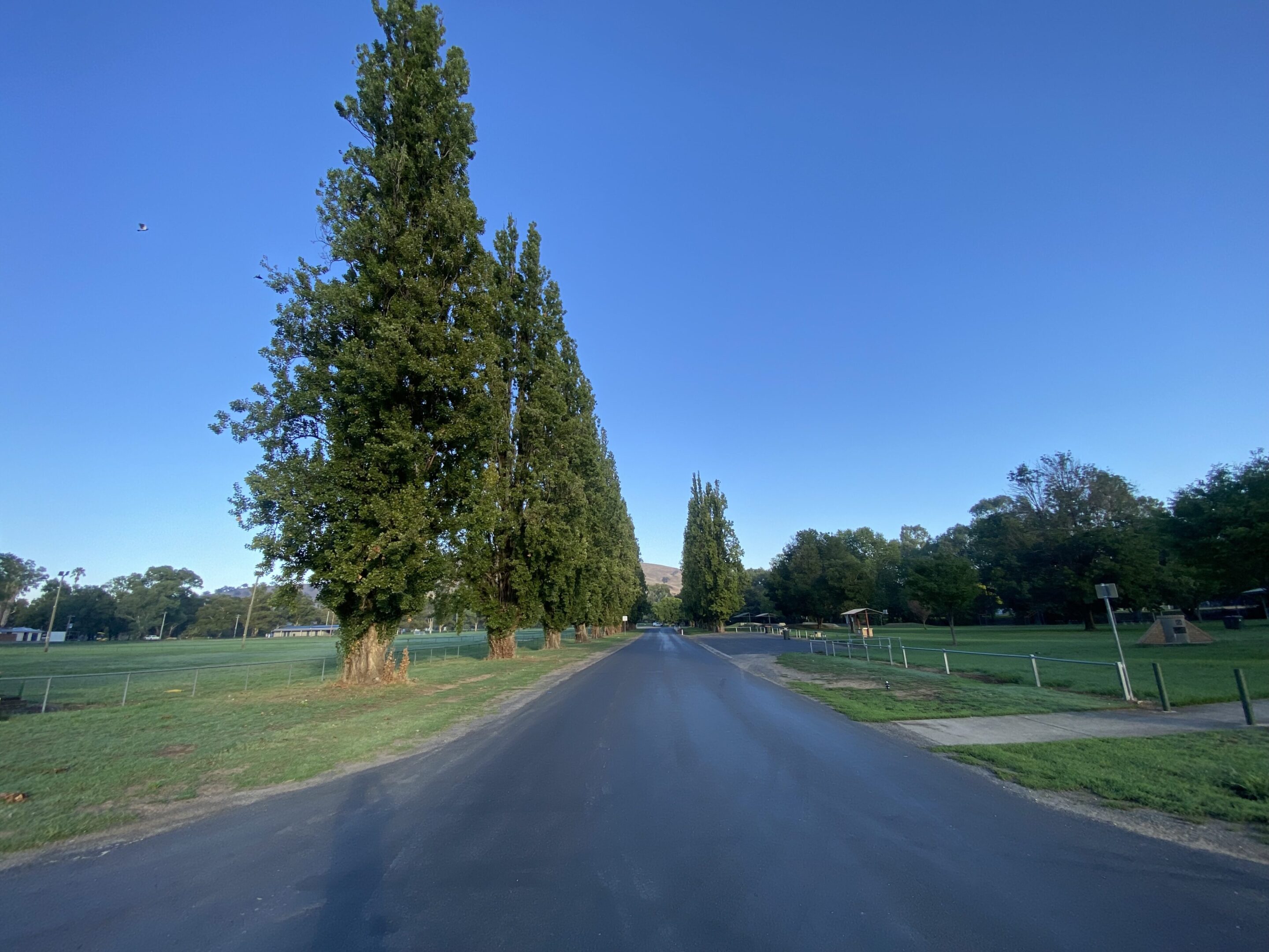 EBE4EDC7-07F8-42E0-9E4B-5A20E6D39AC2