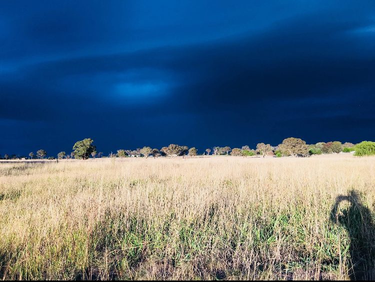 FC8877D8-25D5-4760-B4A5-3D76F10777EB