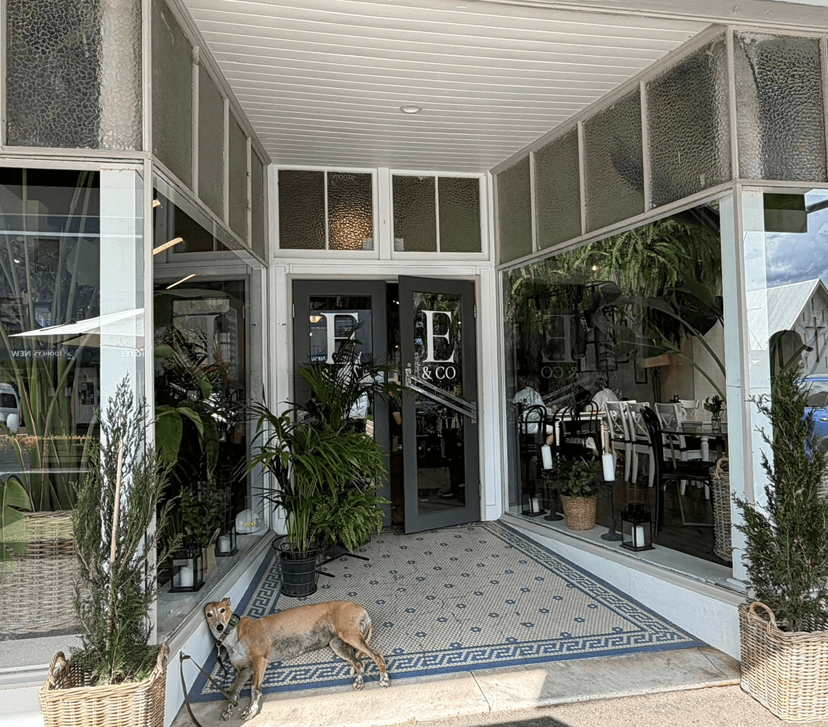 Dog standing outside a plant-filled entrance.