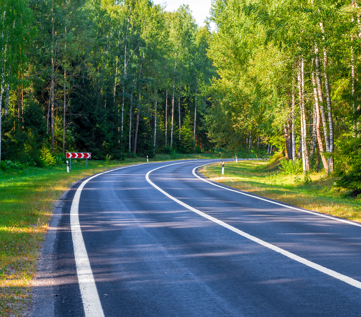 Curved road through lush green forest.