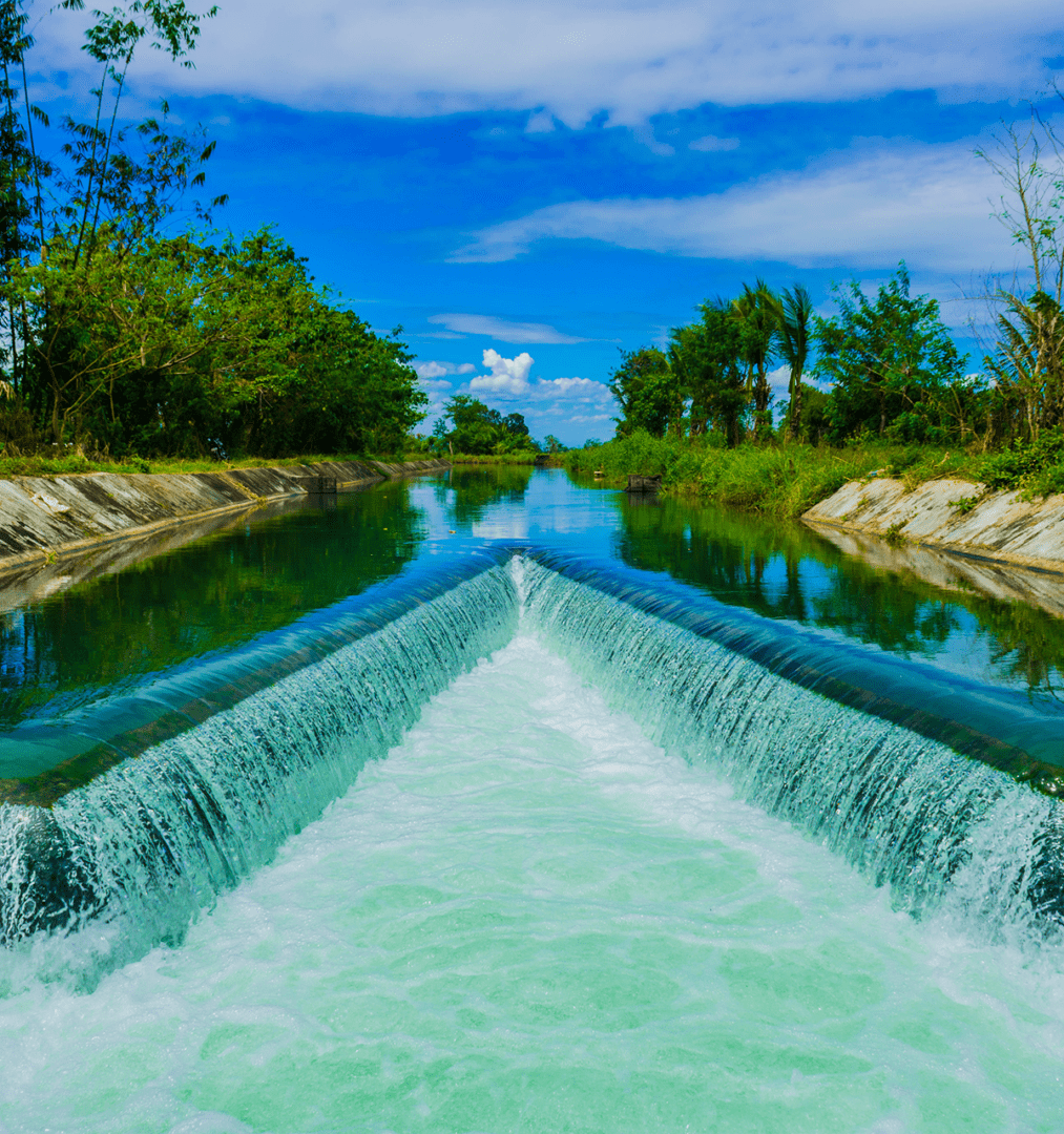 Water flowing over a dam, lush surroundings.